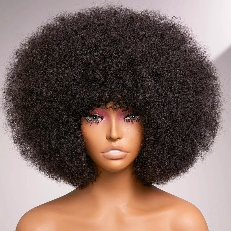 Afro human hair wig